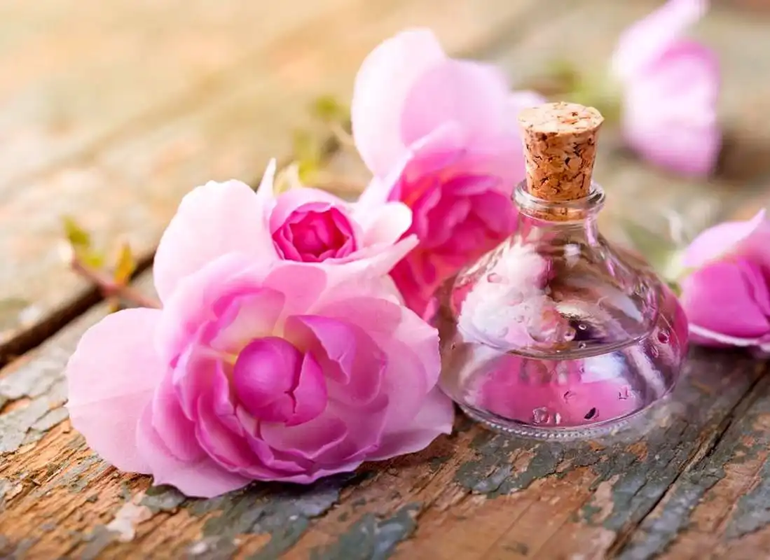 قیمت خرید گلاب ارگانیک اصل عمده به صرفه و ارزان